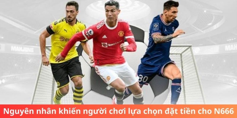 tổng quan về thể thao n666